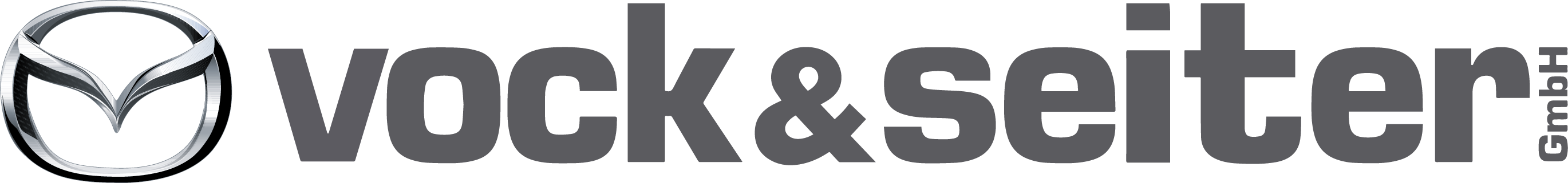 Logo Vock & Seiter GmbH